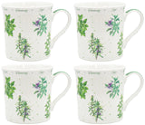 Set Of 4 Fine China Coffee Mugs Leonardo Collection Herb Garden Design Mug Set