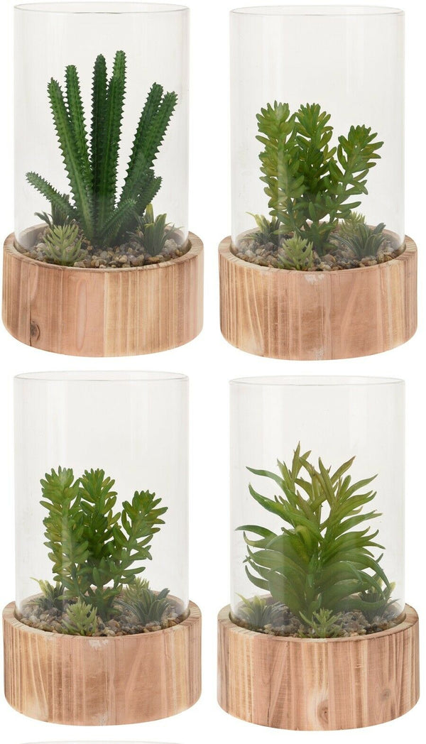 Decorative Artificial Exotic Plants In Bell Jar With Wood Terrarium Plant