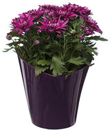 Set of 4 Purple Plastic Flower Plant Pots 14cm Medium Twisted Shape Planters