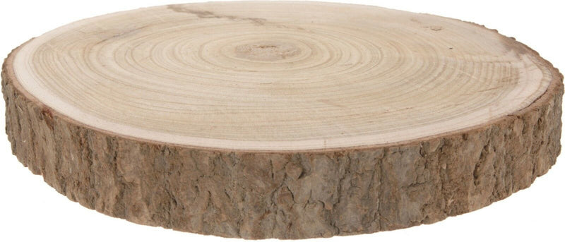 Natural Paulownia Wood Log Slice 30cm Large Tree Slice Centerpiece